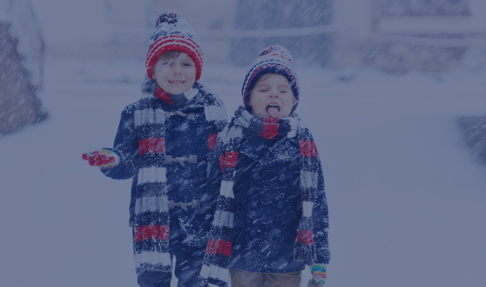 Winter Respiratory Surge (CHA)